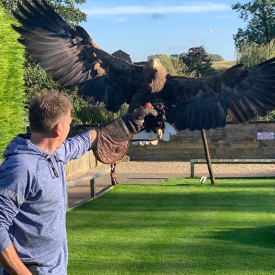 Thirsk Birds of Prey Centre