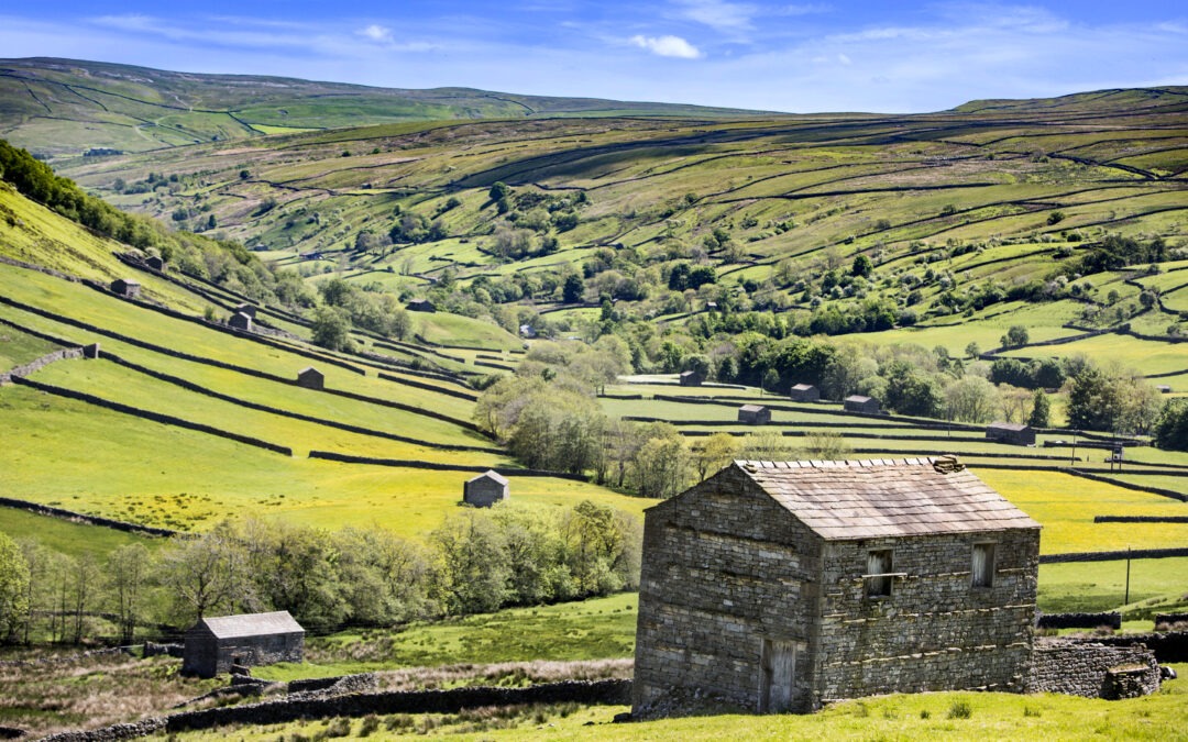 Exploring Herriot Country