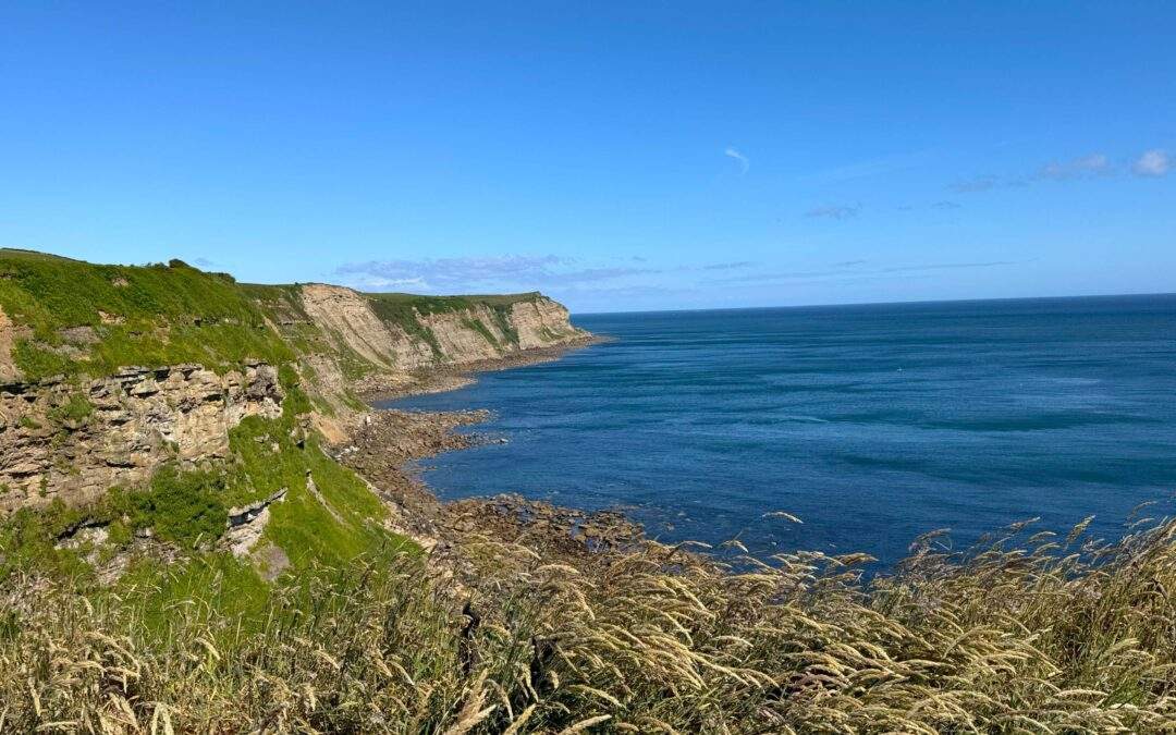 Green Wood Parks Northcliffe and Seaview Leisure Parks Whitby