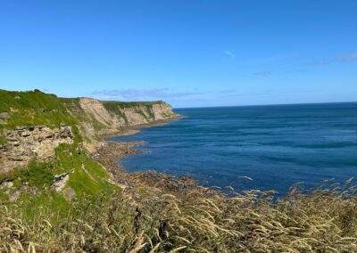 Green Wood Parks Northcliffe and Seaview Leisure Parks Whitby