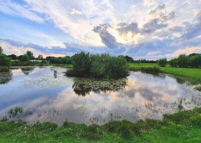 Green Wood Parks Tollerton near York