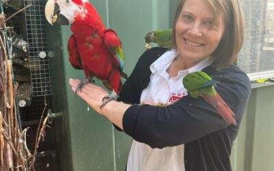 World of James Herriot sponsors rescued parrot at Morndyke parrot sanctuary