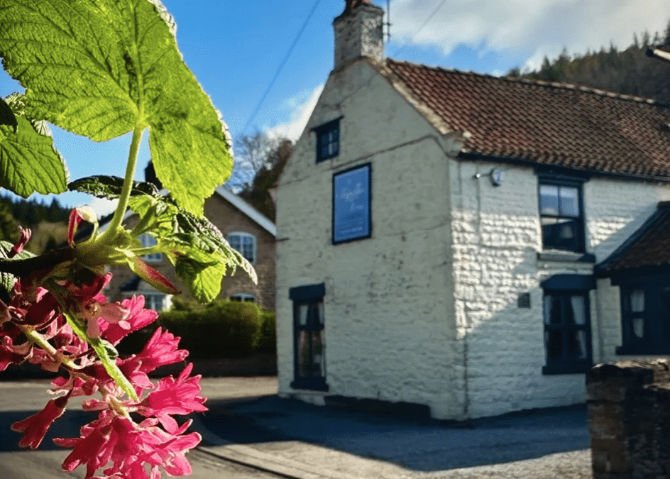 The Stapylton at Wass